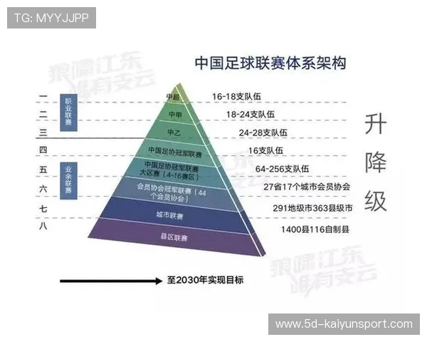 中国足球的职业联赛发展历程，中国足球的职业联赛发展历程是什么