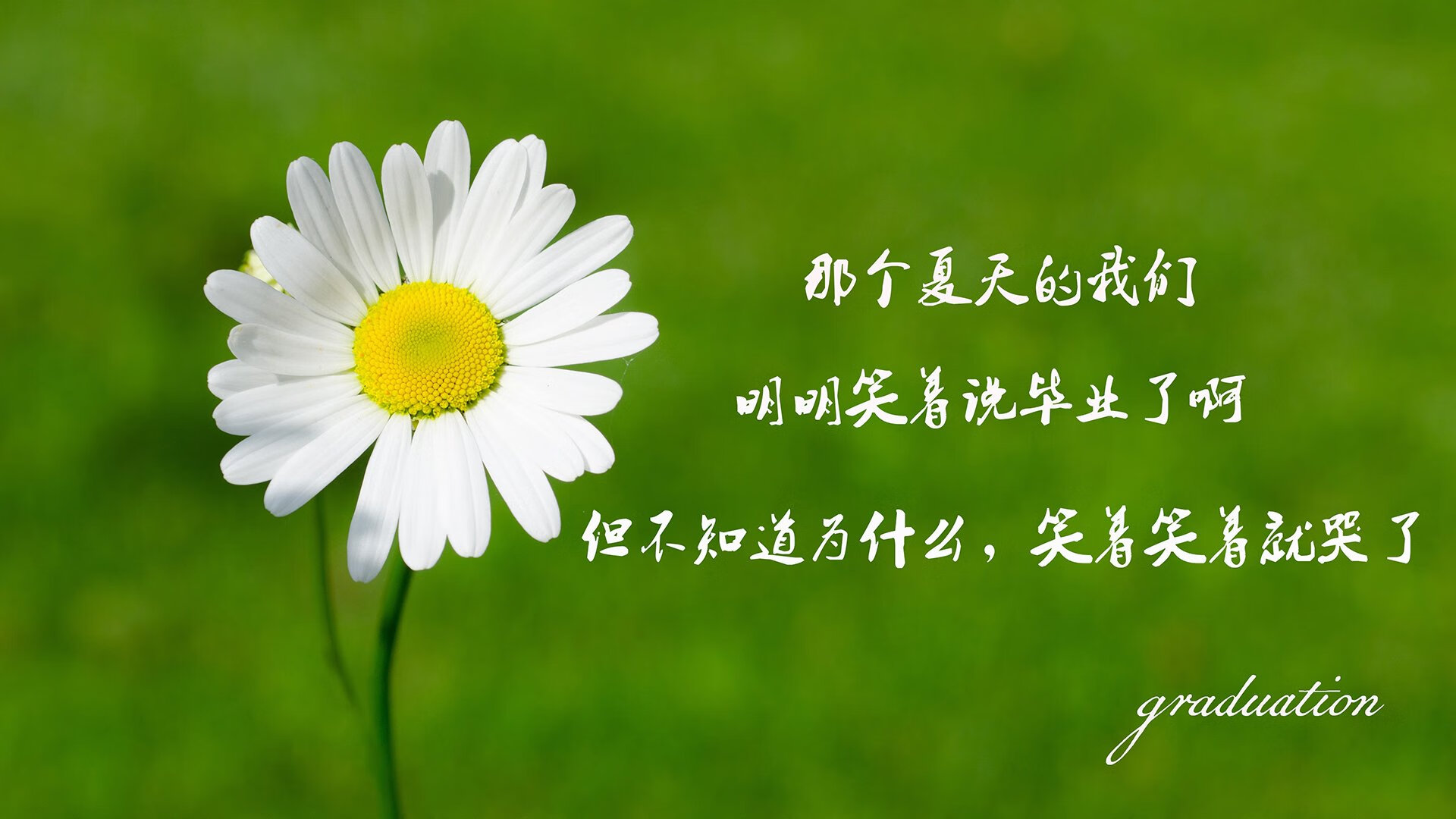 开云·体育官网-法甲球队视频分析提升防守协作与站位优化实践，法甲 球队
