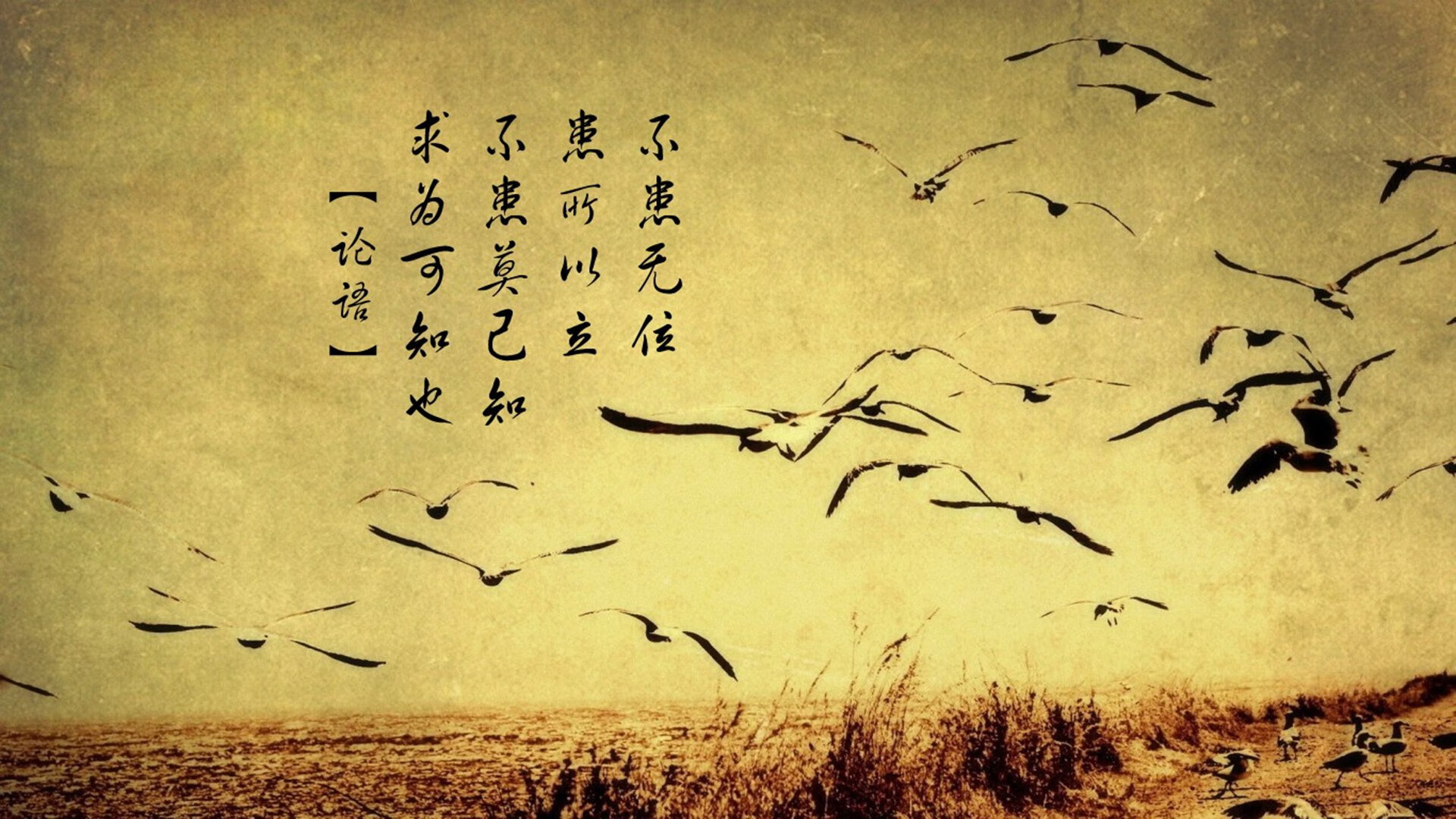 中国三人篮球男队积极适应国际赛场节奏,中国三人篮球男篮赛程