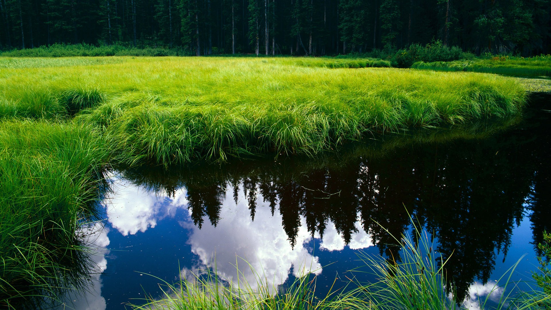中超联赛平局世界杯预选赛 技术分析引热议,世界杯预选赛中国队平局