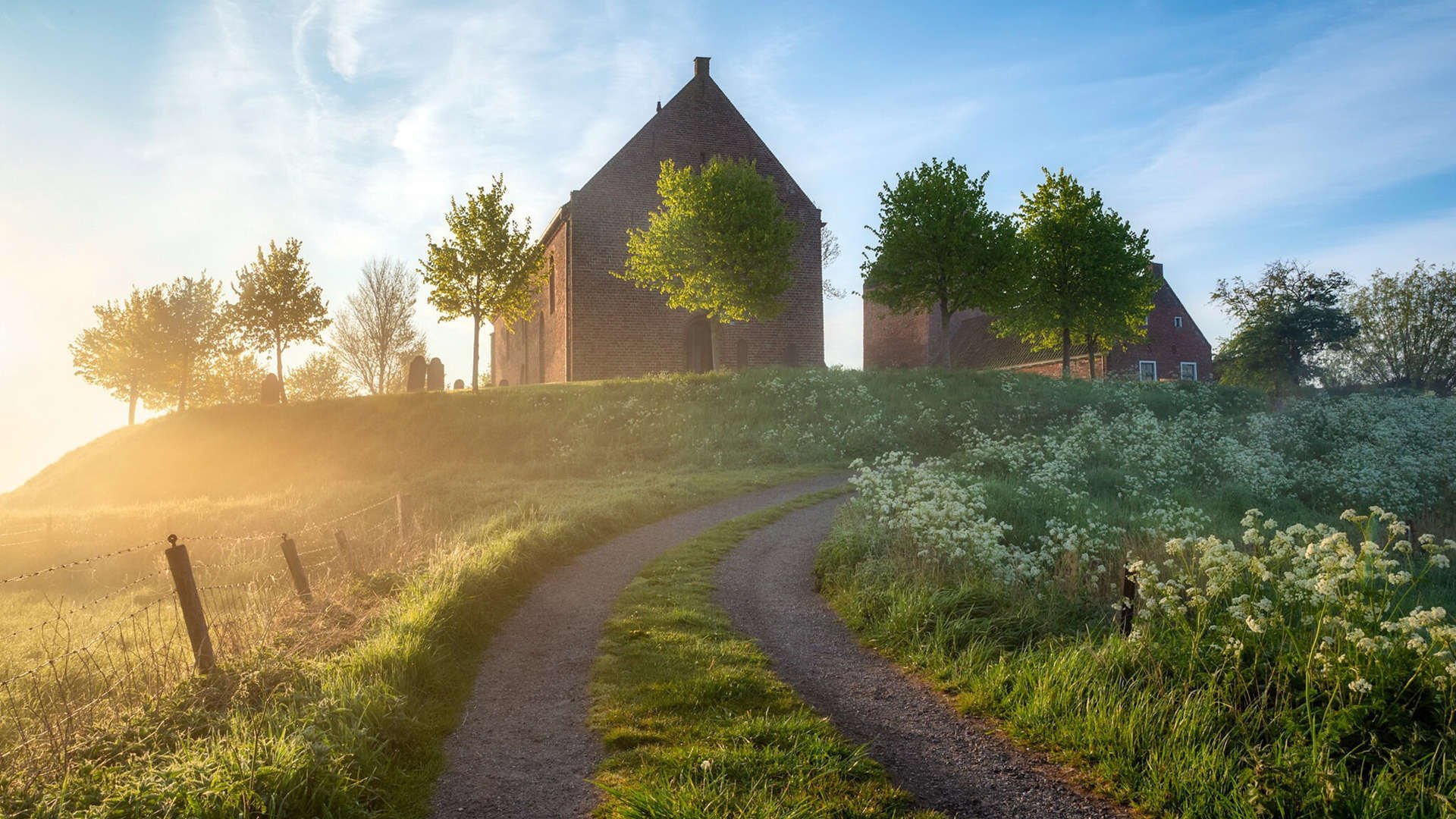 亚洲杯中国女足晋级 球员默契配合提升,中国女足亚洲杯季军