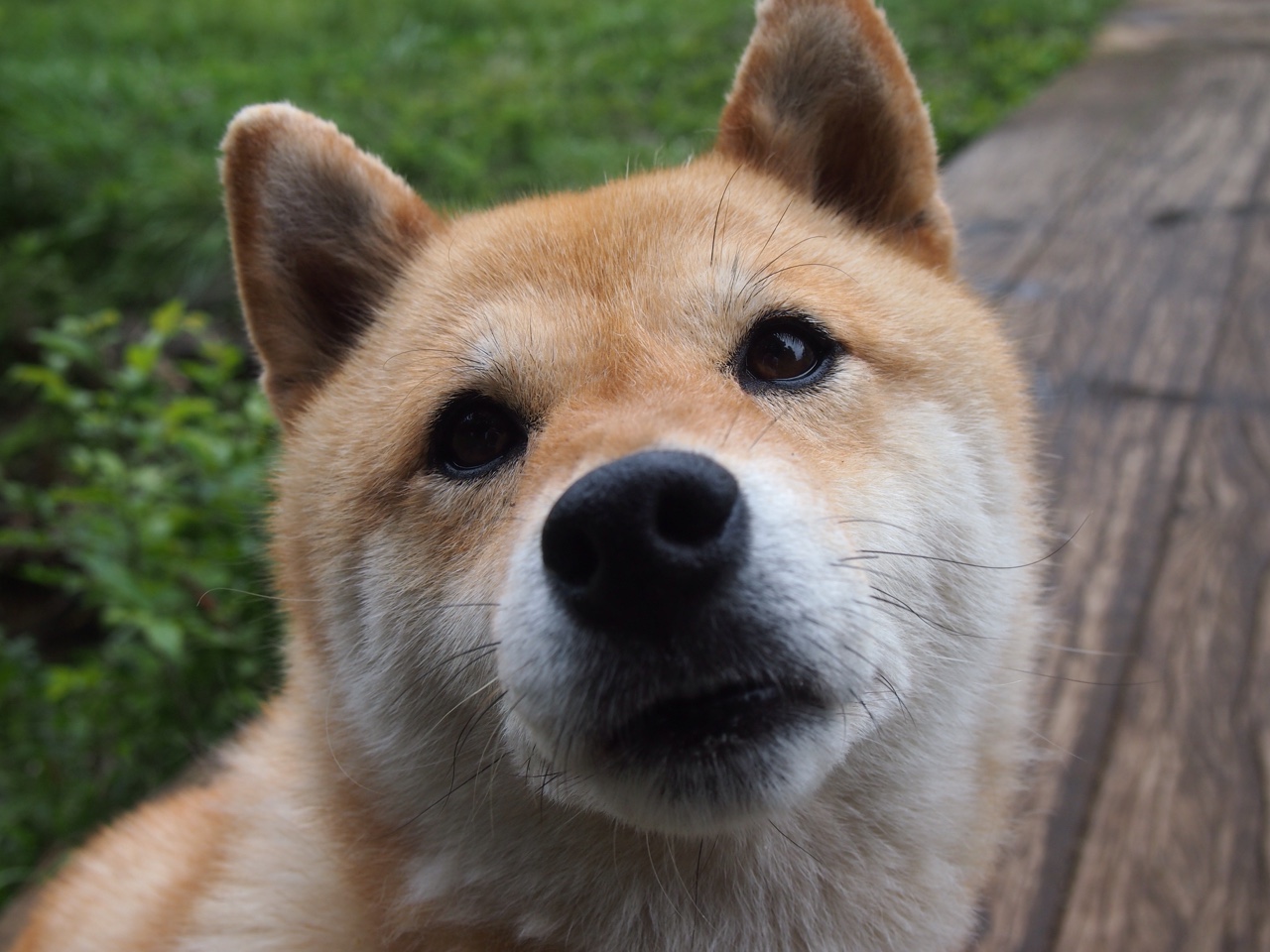 体育新闻中心启动青少年体育媒体创作实践计划,体育新闻专题报道